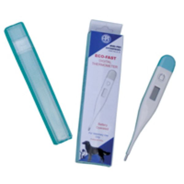 White Eco-Fast Digital Thermometer